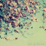 Elif