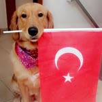 Melike