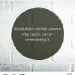 Zeynel