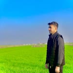 Fero