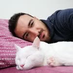 Ercan