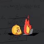 Developer