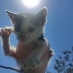 Zeynep