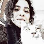 Selin
