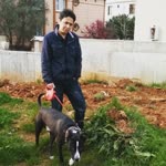 Aynur