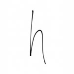 Havva