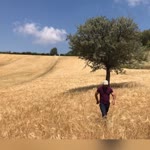 Osman