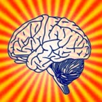 Brain