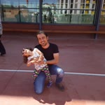 Erdal