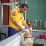 Levent