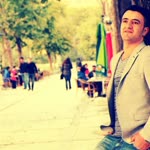 Şahin