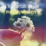 Merve
