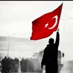 Sibel