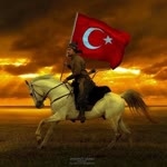 Ali