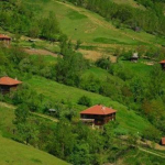 Nurullah