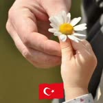 Seher
