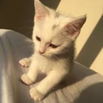 Profil fotoğrafı