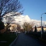 Seda