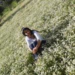 Elif