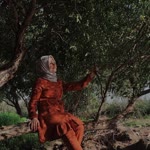 Sevda