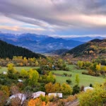 Duygu