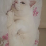 Fatma
