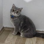 Profil fotoğrafı