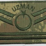 Hasan