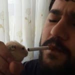 Samet