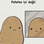 Sude