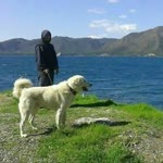 Yüksel