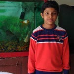 Amar