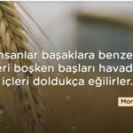 Furkanın