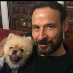 İlhan