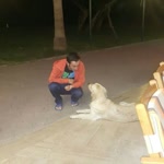 Fırat