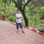 Metin
