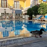 Profil fotoğrafı