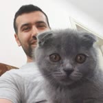 Mehmet