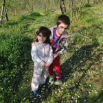 Sedat