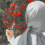 Seher