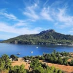 Naci