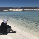 Anıl
