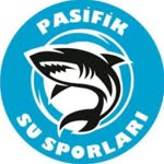 Yıldırım