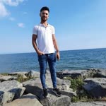 Şahin