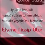 Tülin