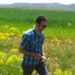 Serdar