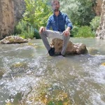 Selim