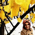 Şeyma