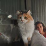 Özlem