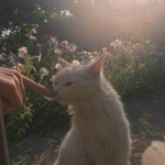 Zeynep